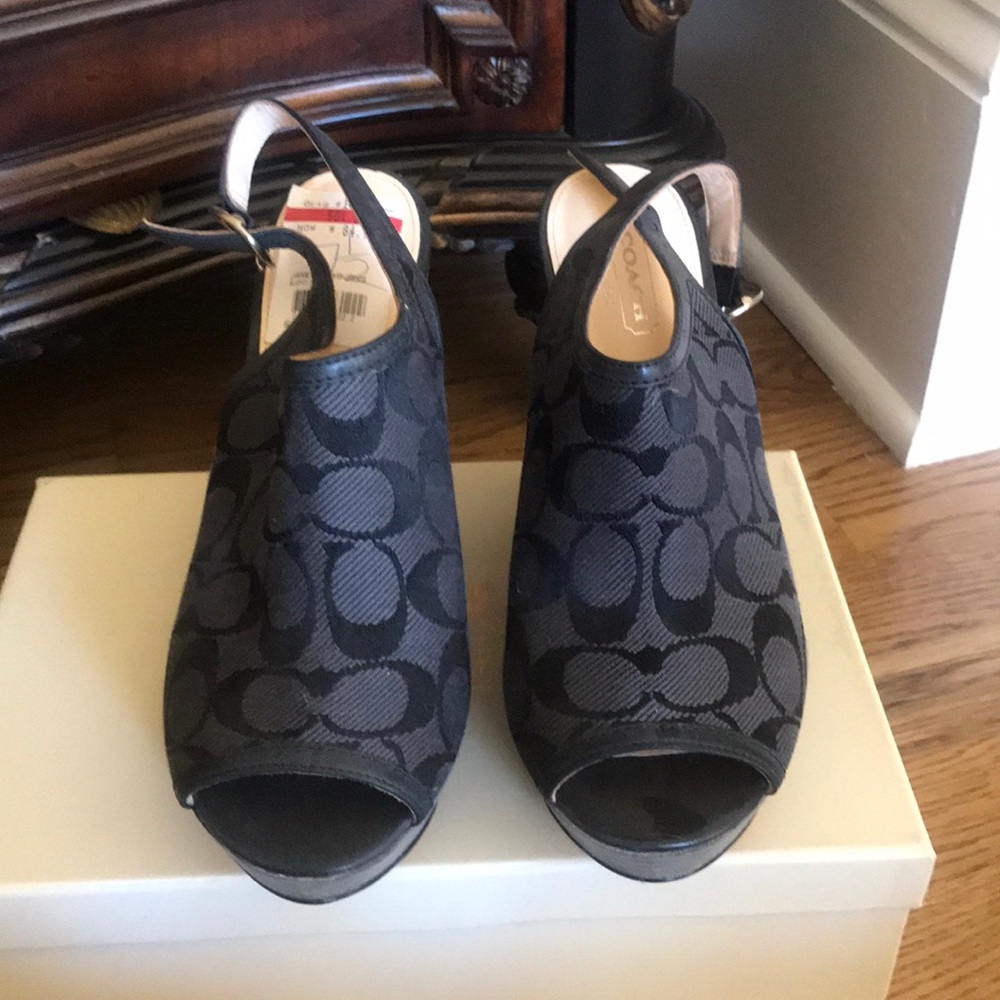 Coach graphite signature wedge